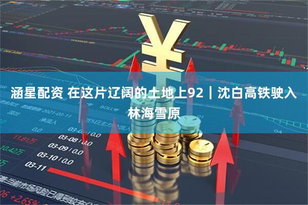 涵星配资 在这片辽阔的土地上92｜沈白高铁驶入林海雪原