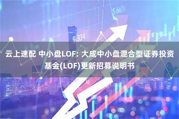 云上速配 中小盘LOF: 大成中小盘混合型证券投资基金(LOF)更新招募说明书